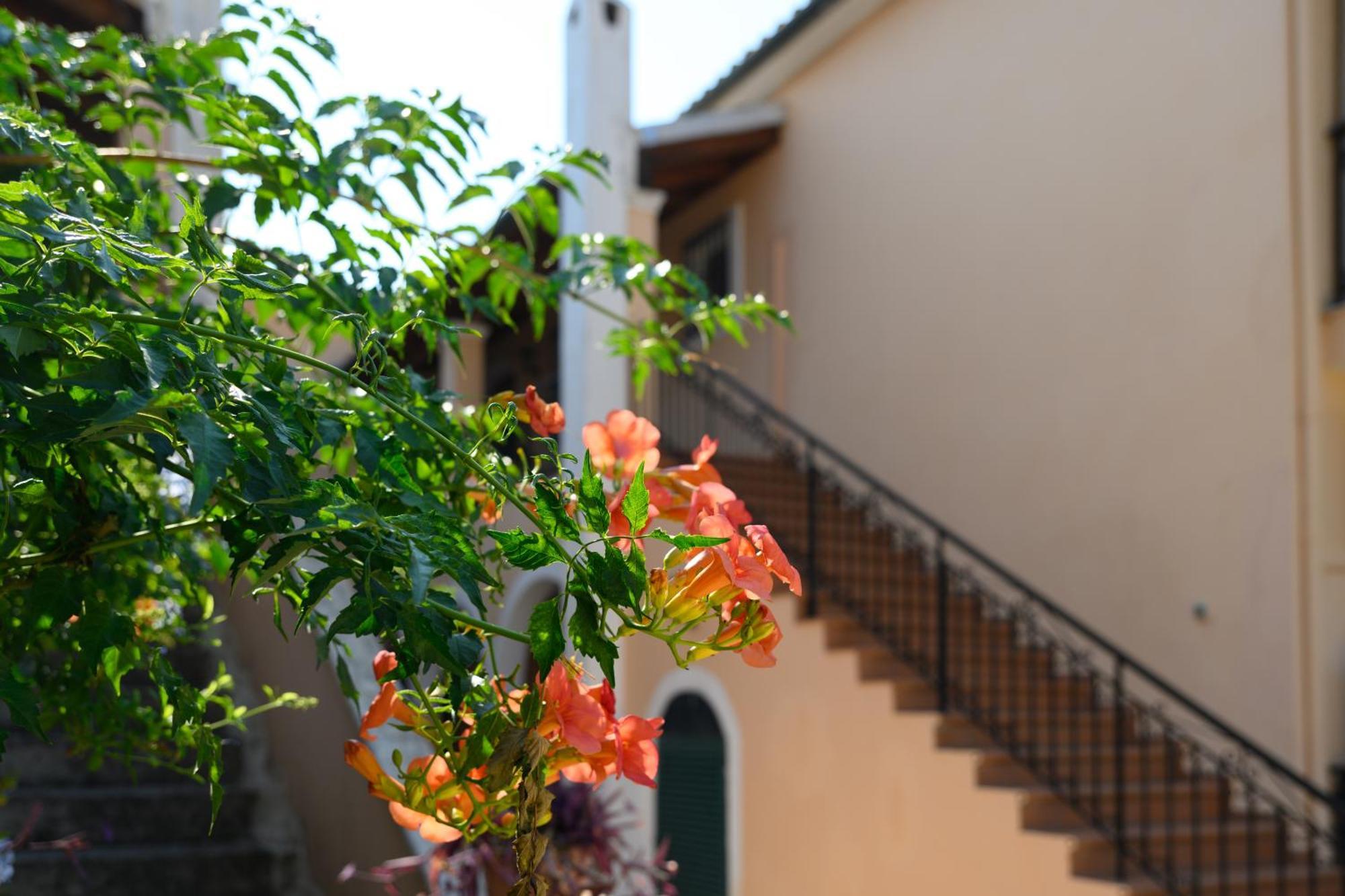 Xenia'S Apartments In Alepou Corfu  Exterior photo